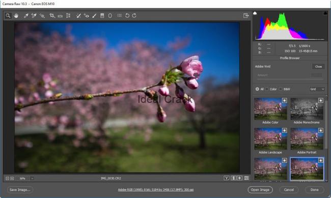 Adobe photoshop cc 2019 20.0.4